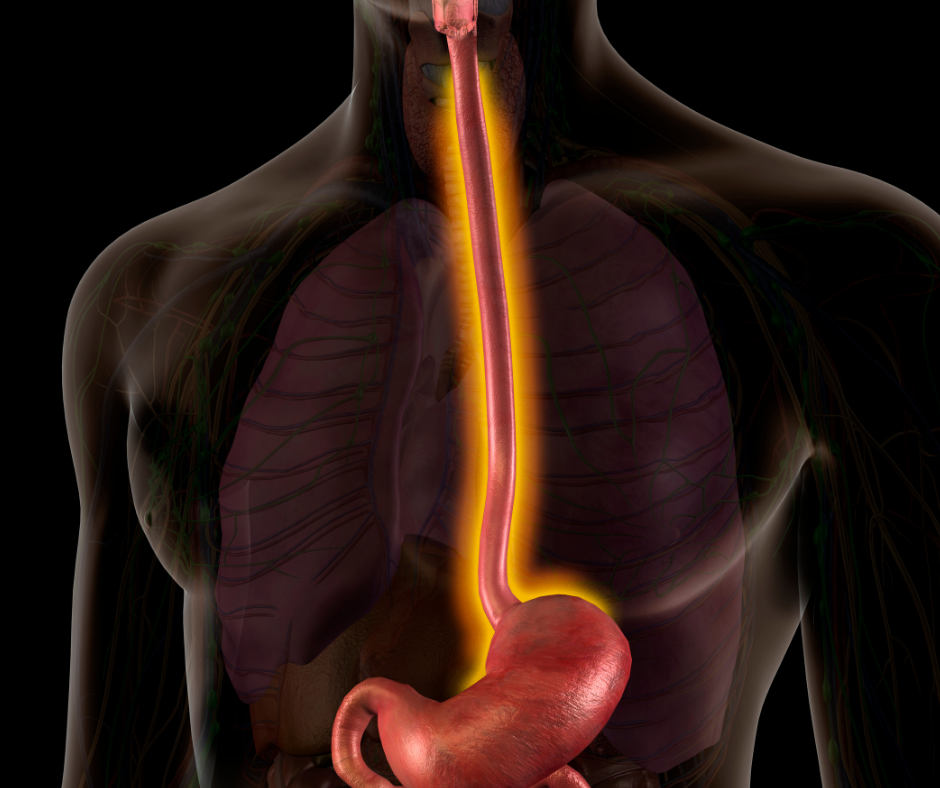 treating-the-whole-esophagus-from-cancer-to-gerd