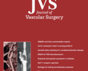 Journal of Vascular Surgery