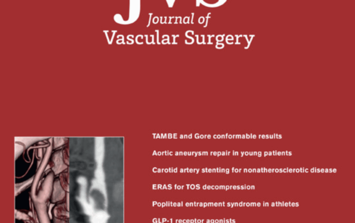 Journal of Vascular Surgery